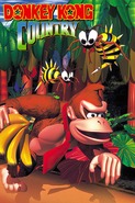 Donkey Kong Country game placeholder